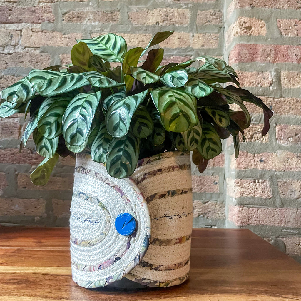 Rope Planter Wrap for 6.5" Houseplant Pot