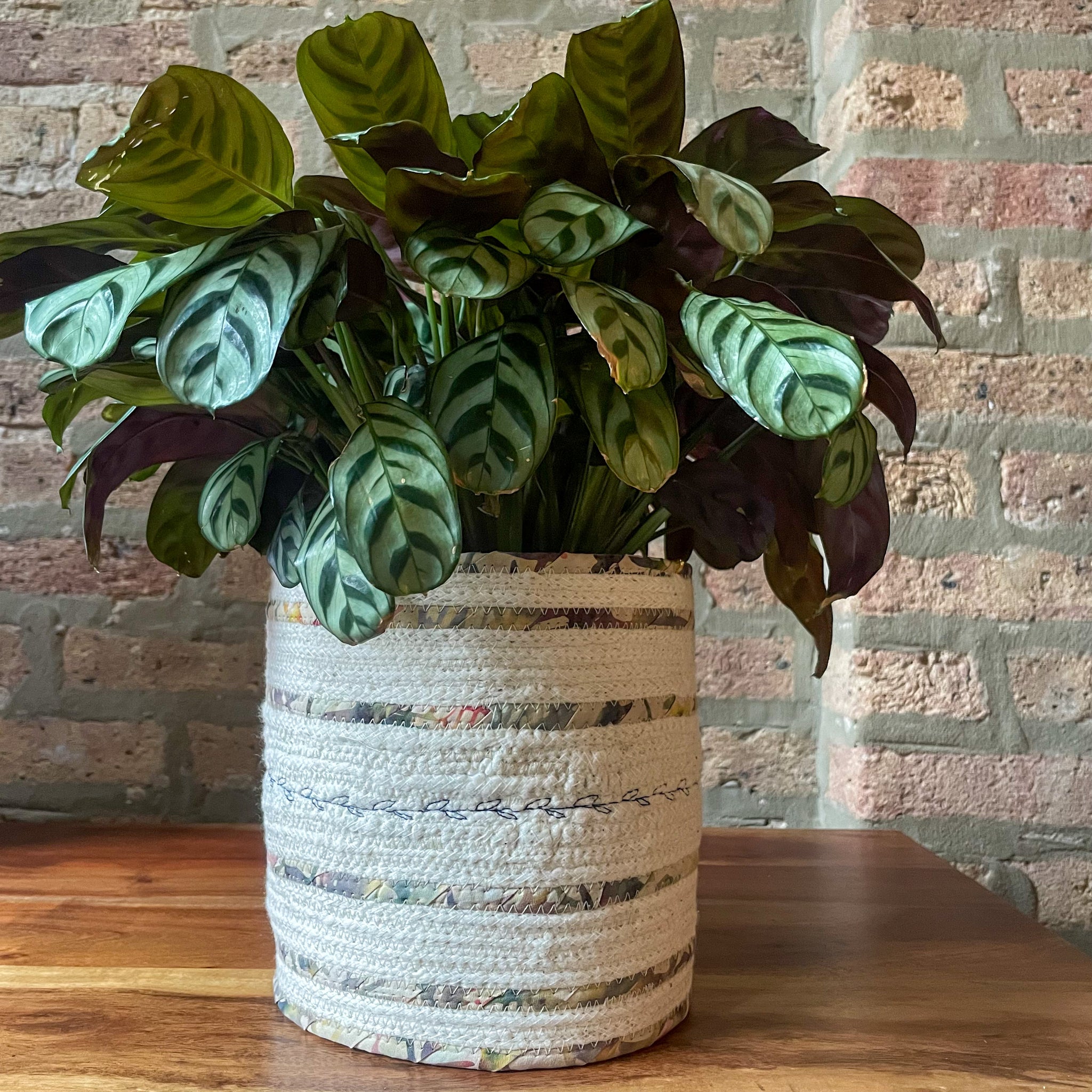 Rope Planter Wrap for 6.5" Houseplant Pot