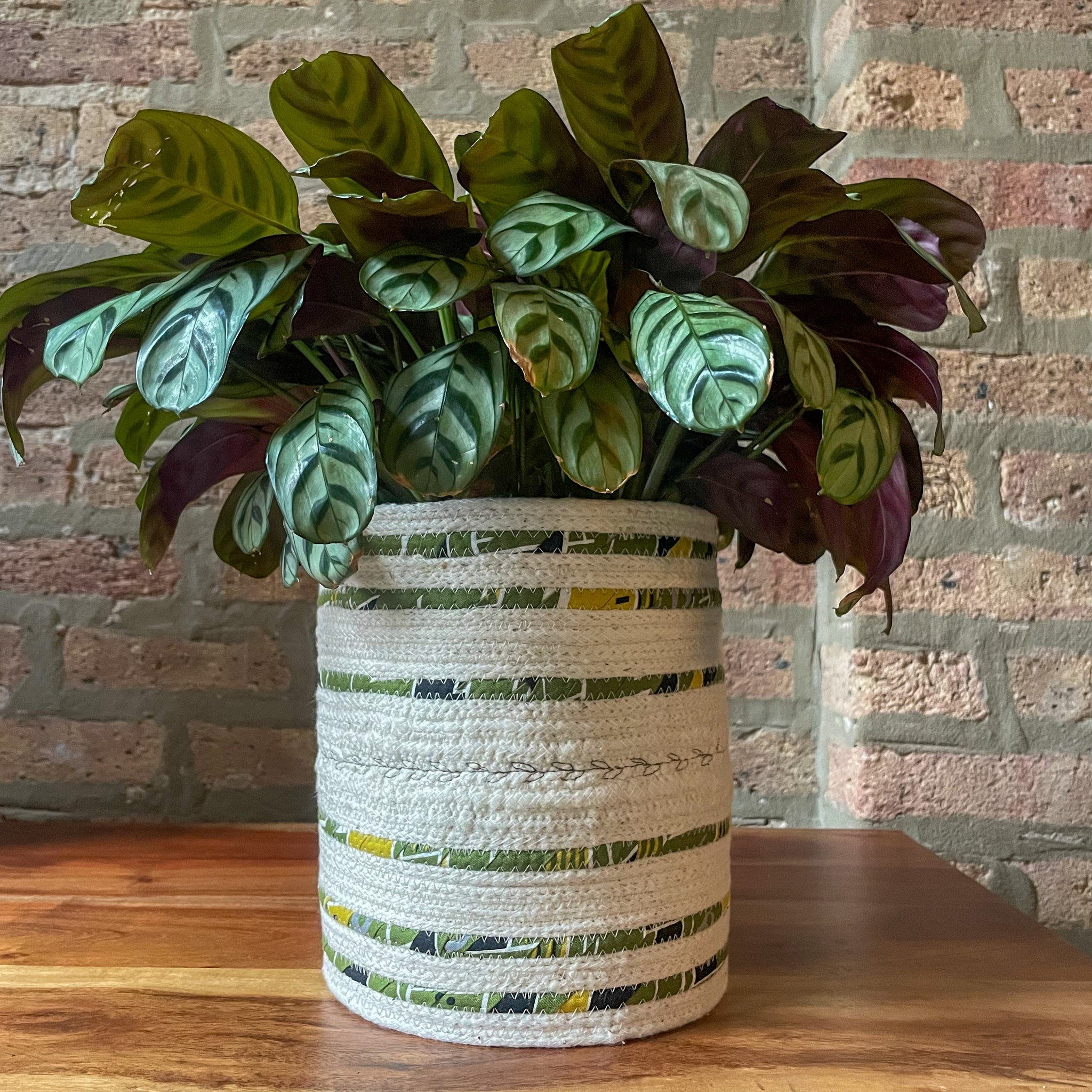 Rope Planter Wrap for 6.5" Houseplant Pot