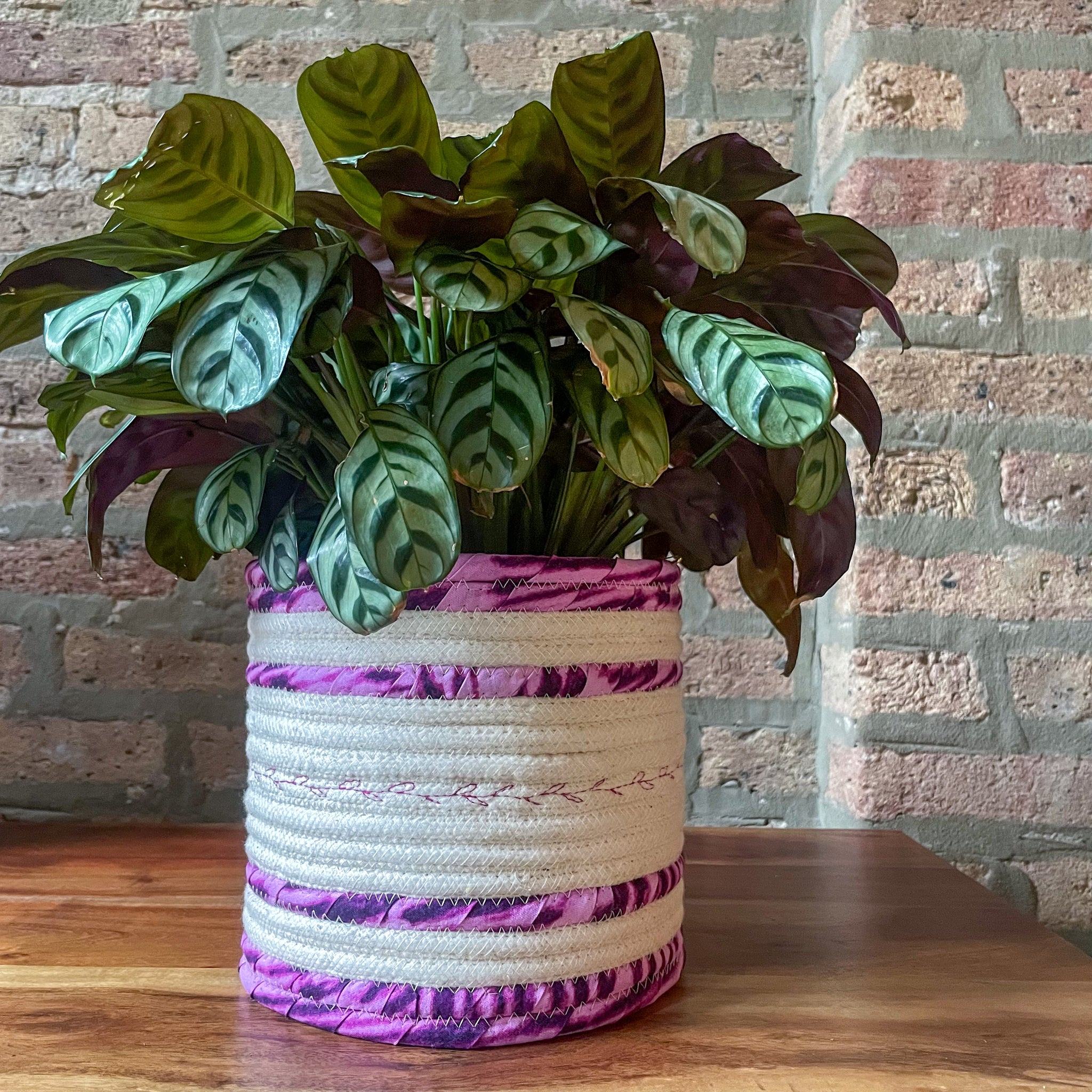 Rope Planter Wrap for 6.5" Houseplant Pot