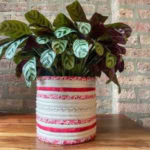 Rope Planter Wrap for 6.5" Houseplant Pot