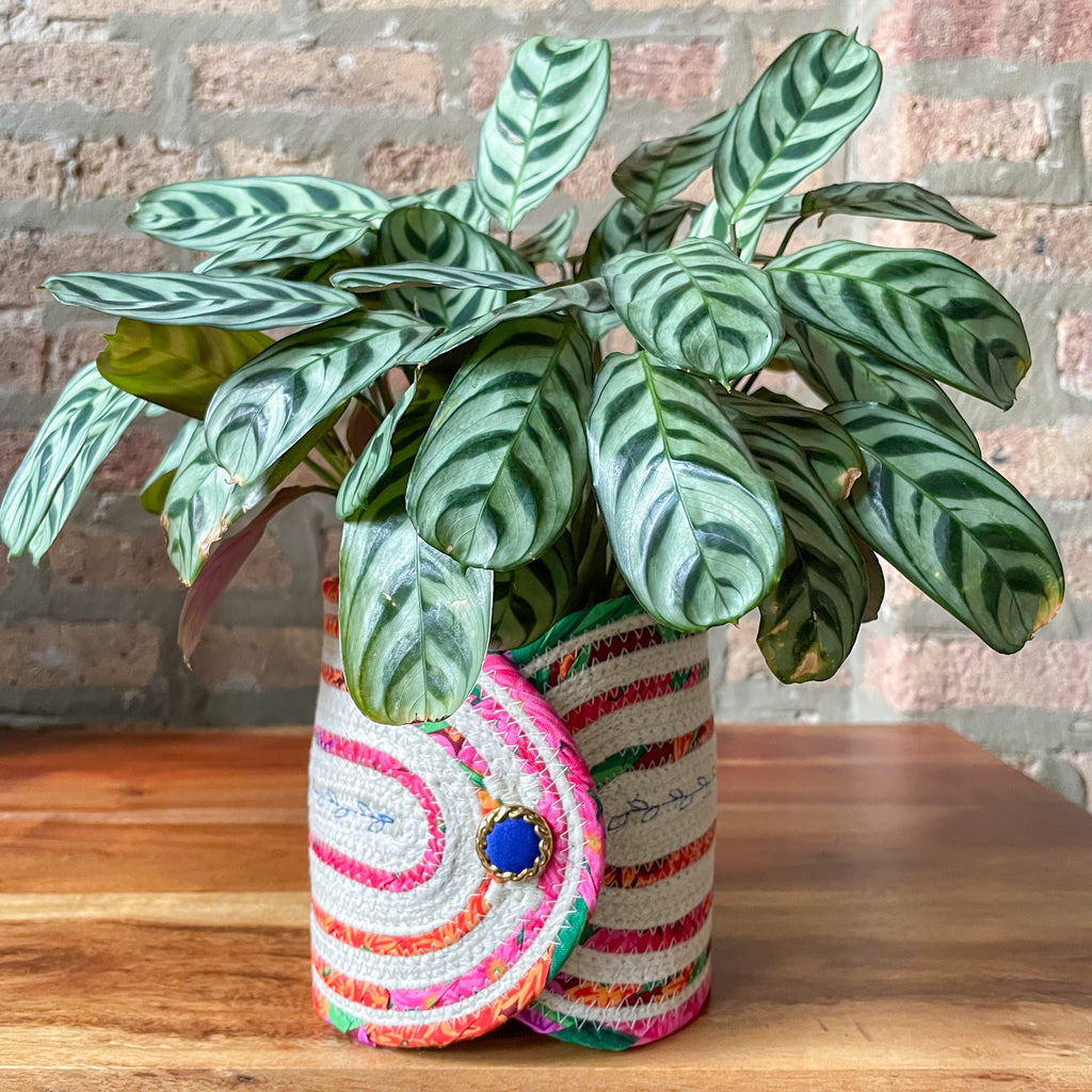 Rope Planter Wrap for 4.5" Houseplant Pot