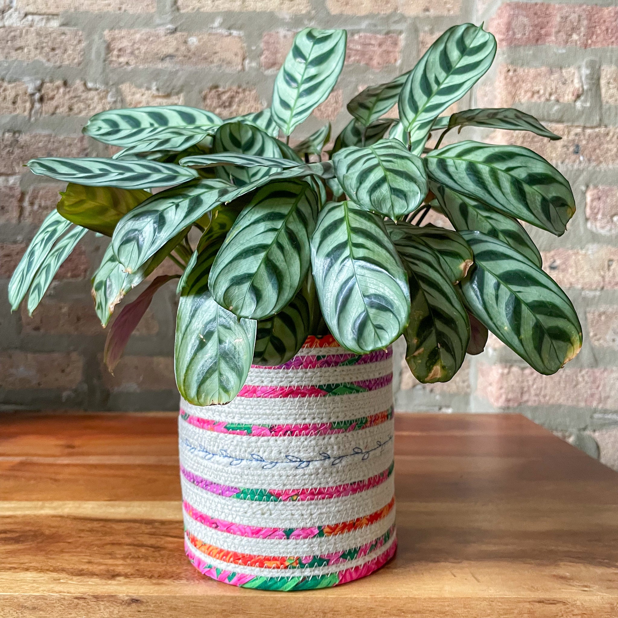 Rope Planter Wrap for 4.5" Houseplant Pot