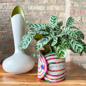 Rope Planter Wrap for 4.5" Houseplant Pot