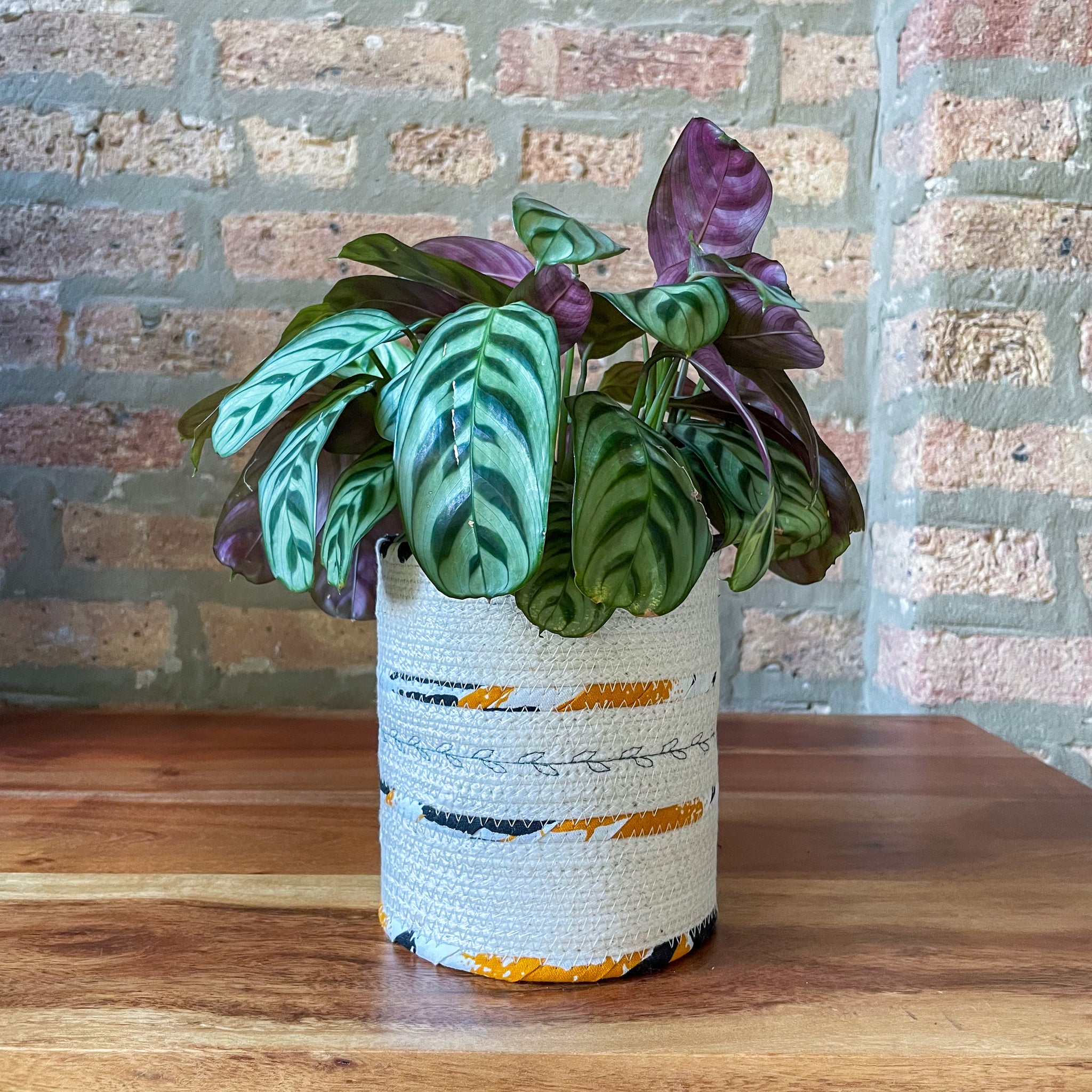 Rope Planter Wrap for 4.5" Houseplant Pot