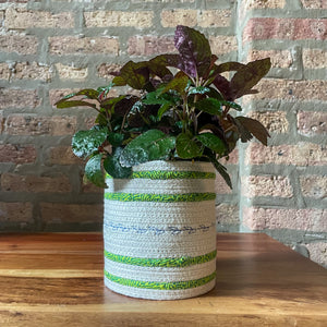 Rope Planter Wrap for 4.5" Houseplant Pot
