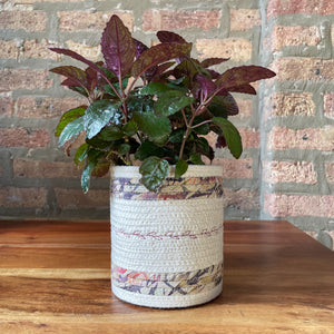 Rope Planter Wrap for 4.5" Houseplant Pot