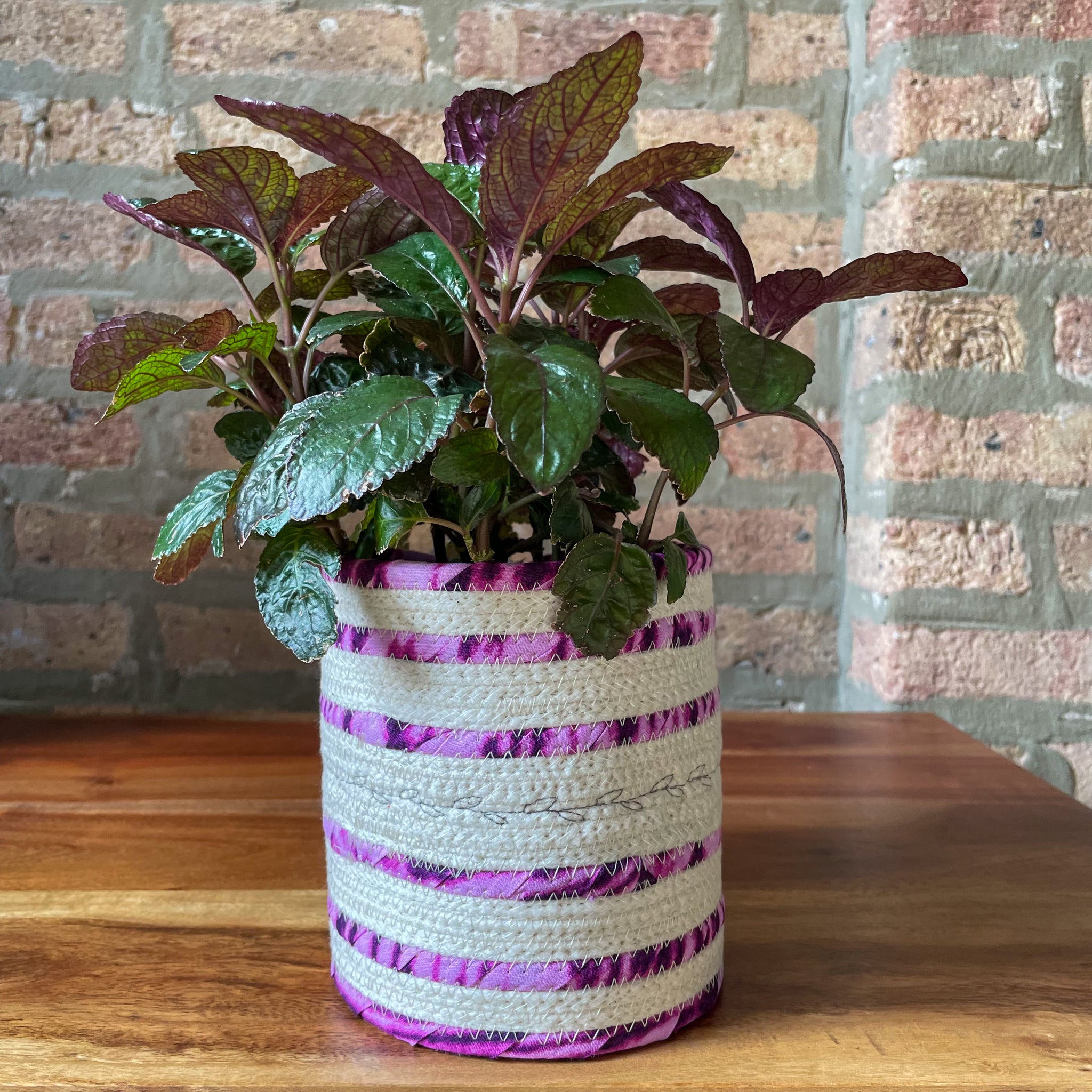 Rope Planter Wrap for 4.5" Houseplant Pot