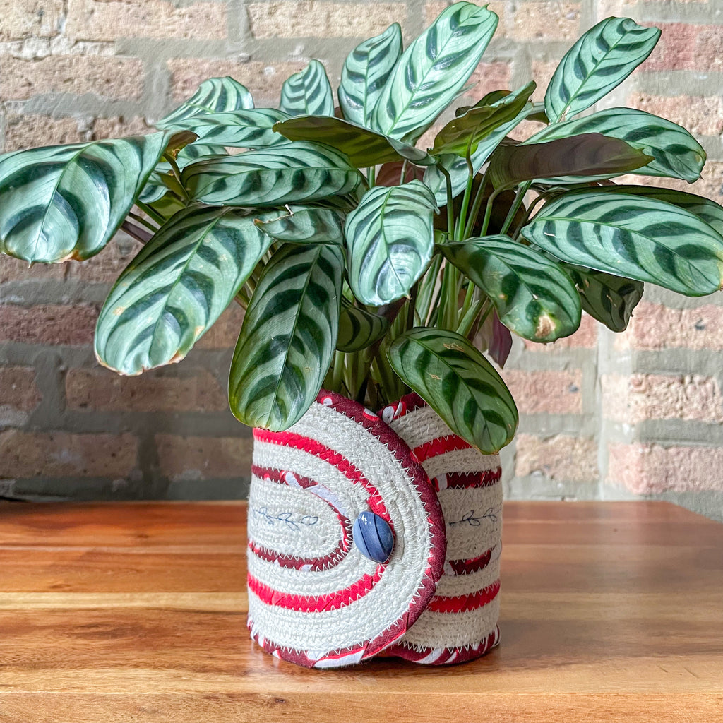 Rope Planter Wrap for 4.5" Houseplant Pot