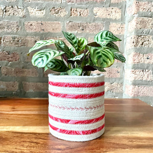 4.5" Houseplant pot planter wrap | Rope planter cover