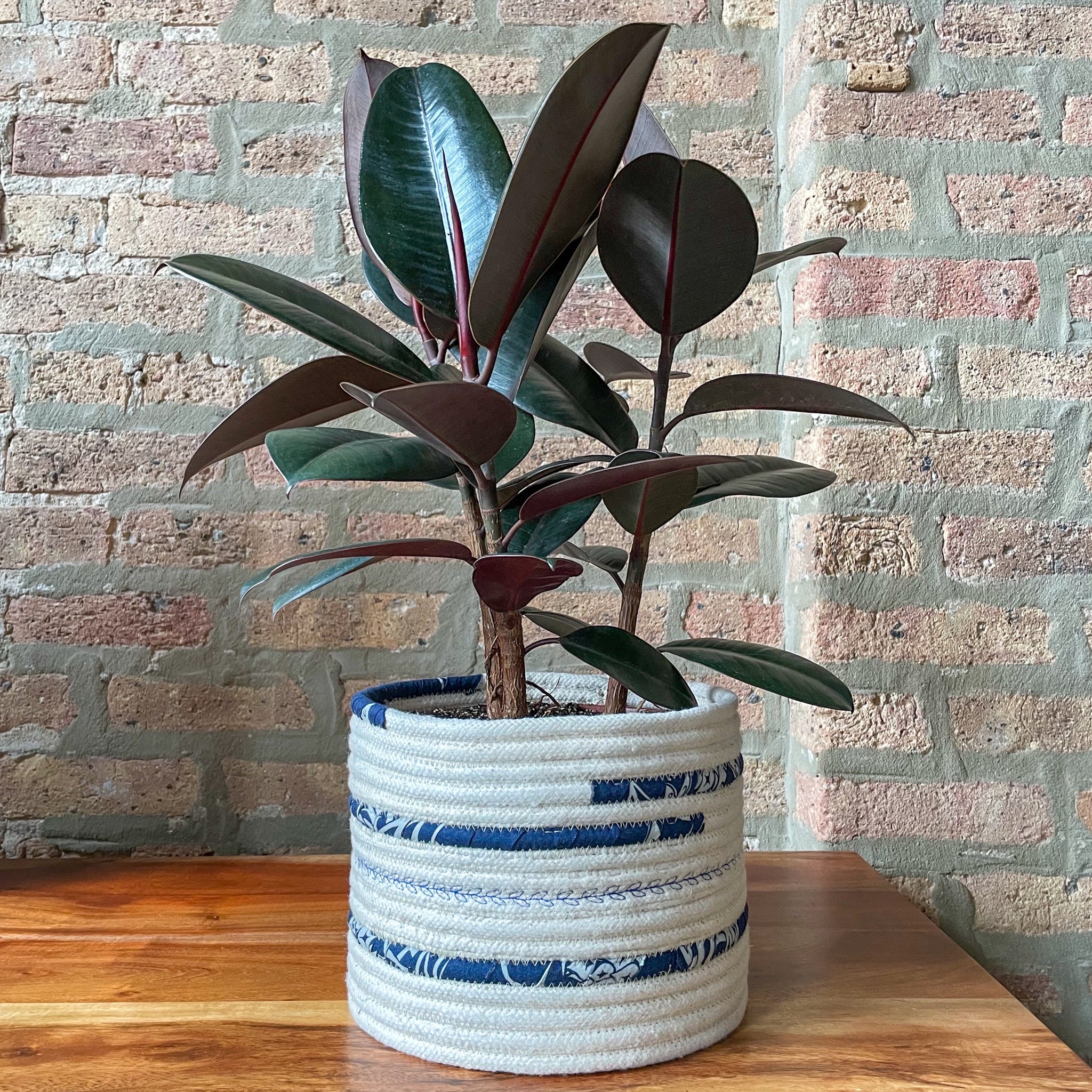 Rope Planter Wrap for 8" Houseplant Pot