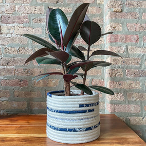 Rope Planter Wrap for 8" Houseplant Pot